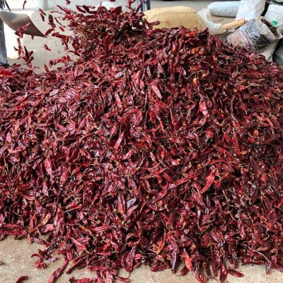 Chile-guajillo